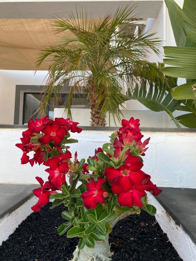 Casa Delfin Playa Blanca Villa Екстериор снимка